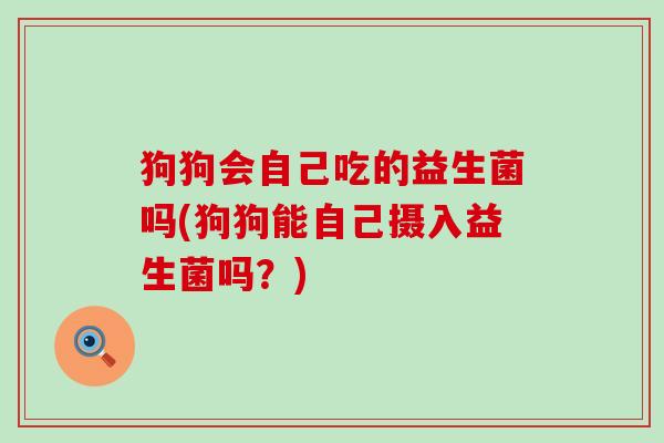 狗狗会自己吃的益生菌吗(狗狗能自己摄入益生菌吗？)
