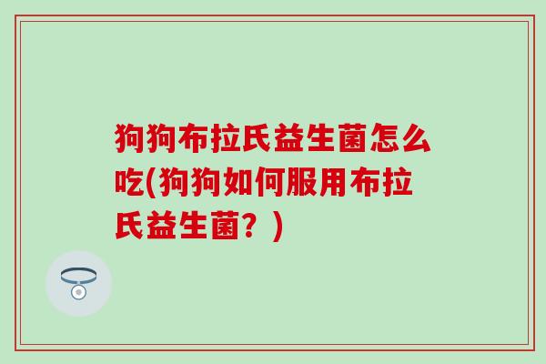 狗狗布拉氏益生菌怎么吃(狗狗如何服用布拉氏益生菌？)