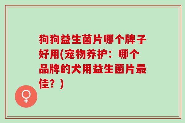 狗狗益生菌片哪个牌子好用(宠物养护：哪个品牌的犬用益生菌片佳？)