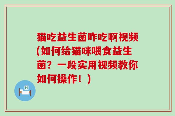 猫吃益生菌咋吃啊视频(如何给猫咪喂食益生菌？一段实用视频教你如何操作！)
