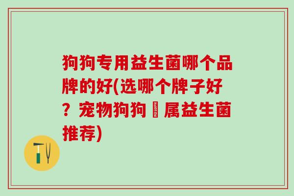 狗狗专用益生菌哪个品牌的好(选哪个牌子好？宠物狗狗專属益生菌推荐)