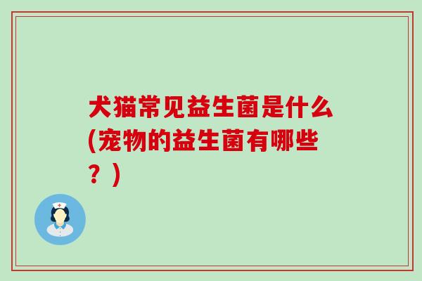 犬猫常见益生菌是什么(宠物的益生菌有哪些？)