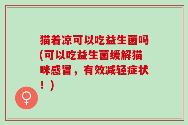 猫着凉可以吃益生菌吗(可以吃益生菌缓解猫咪，有效减轻症状！)
