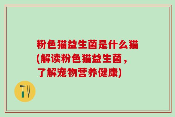 粉色猫益生菌是什么猫(解读粉色猫益生菌，了解宠物营养健康)