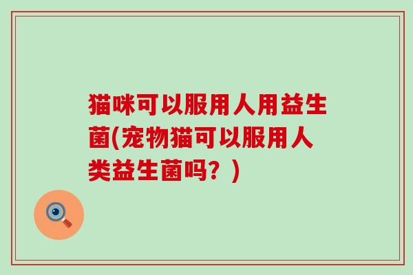 猫咪可以服用人用益生菌(宠物猫可以服用人类益生菌吗？)