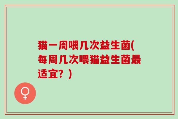 猫一周喂几次益生菌(每周几次喂猫益生菌适宜？)