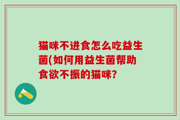 猫咪不进食怎么吃益生菌(如何用益生菌帮助不振的猫咪？
