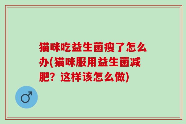 猫咪吃益生菌瘦了怎么办(猫咪服用益生菌？这样该怎么做)