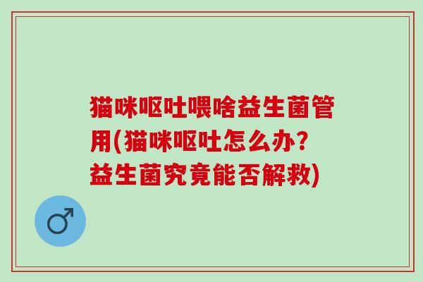 猫咪喂啥益生菌管用(猫咪怎么办？益生菌究竟能否解救)