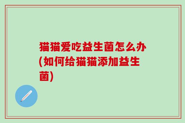 猫猫爱吃益生菌怎么办(如何给猫猫添加益生菌)