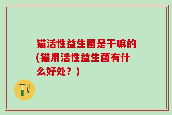 猫活性益生菌是干嘛的(猫用活性益生菌有什么好处？)