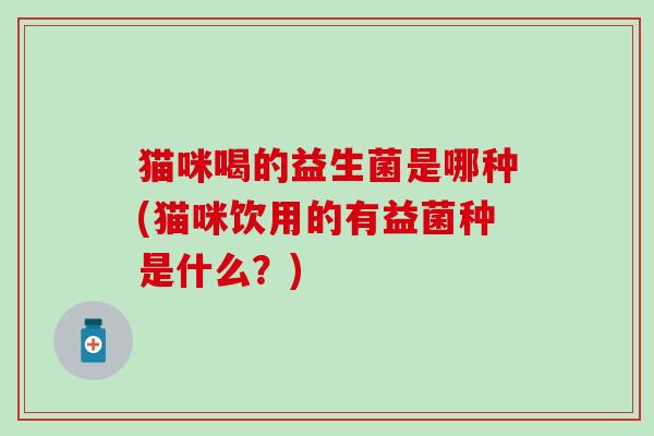 猫咪喝的益生菌是哪种(猫咪饮用的有益菌种是什么？)
