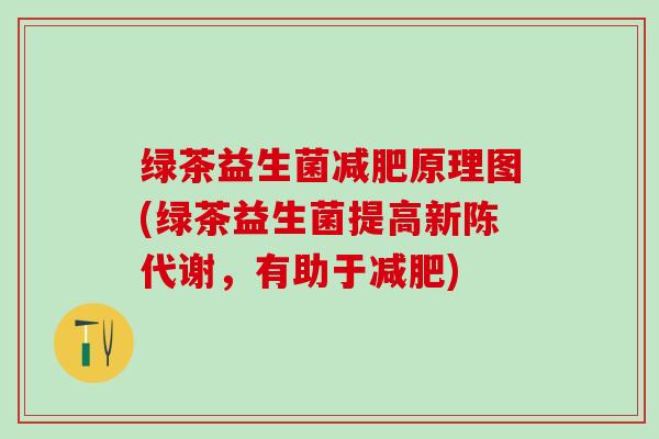 绿茶益生菌原理图(绿茶益生菌提高，有助于)