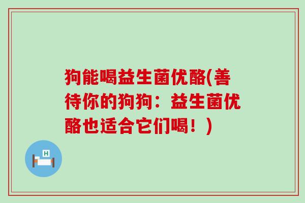 狗能喝益生菌优酪(善待你的狗狗：益生菌优酪也适合它们喝！)