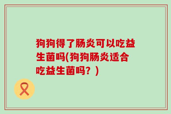 狗狗得了可以吃益生菌吗(狗狗适合吃益生菌吗？)