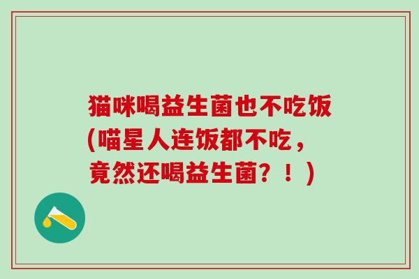 猫咪喝益生菌也不吃饭(喵星人连饭都不吃，竟然还喝益生菌？！)