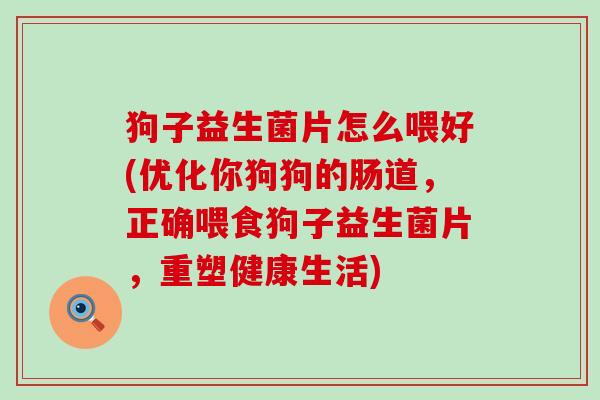 狗子益生菌片怎么喂好(优化你狗狗的肠道，正确喂食狗子益生菌片，重塑健康生活)
