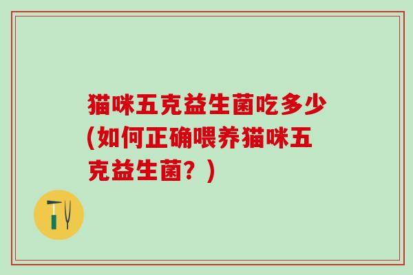猫咪五克益生菌吃多少(如何正确喂养猫咪五克益生菌？)