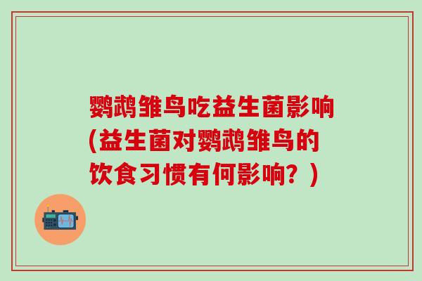 鹦鹉雏鸟吃益生菌影响(益生菌对鹦鹉雏鸟的饮食习惯有何影响？)