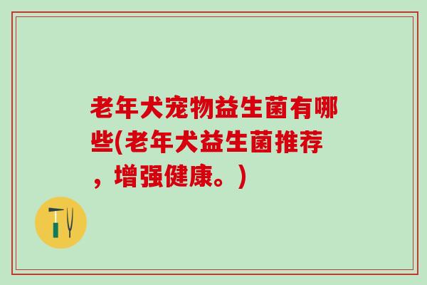 老年犬宠物益生菌有哪些(老年犬益生菌推荐，增强健康。)