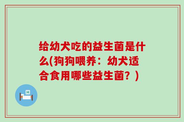 给幼犬吃的益生菌是什么(狗狗喂养：幼犬适合食用哪些益生菌？)