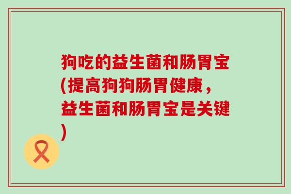 狗吃的益生菌和肠胃宝(提高狗狗肠胃健康，益生菌和肠胃宝是关键)