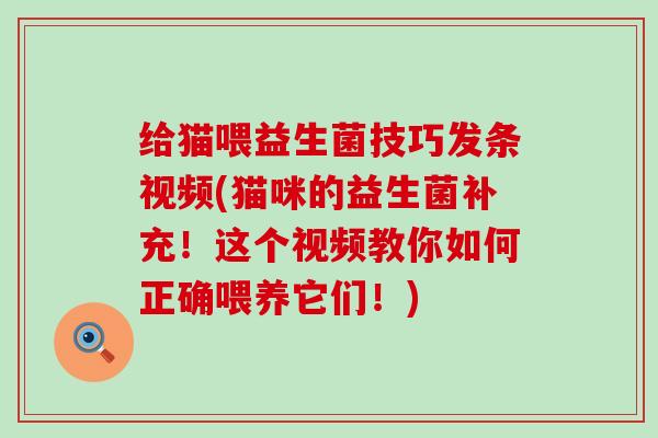 给猫喂益生菌技巧发条视频(猫咪的益生菌补充！这个视频教你如何正确喂养它们！)