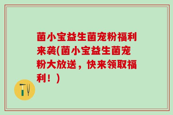 菌小宝益生菌宠粉福利来袭(菌小宝益生菌宠粉大放送，快来领取福利！)