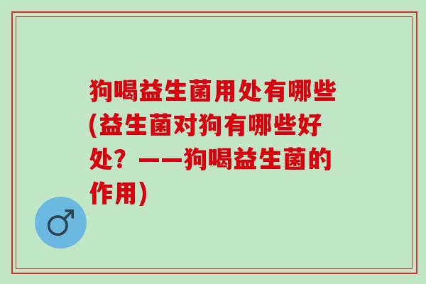 狗喝益生菌用处有哪些(益生菌对狗有哪些好处？——狗喝益生菌的作用)