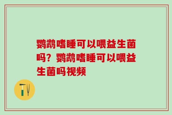鹦鹉嗜睡可以喂益生菌吗？鹦鹉嗜睡可以喂益生菌吗视频