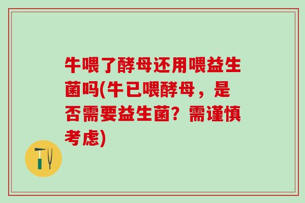 牛喂了酵母还用喂益生菌吗(牛已喂酵母，是否需要益生菌？需谨慎考虑)