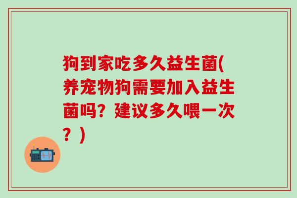 狗到家吃多久益生菌(养宠物狗需要加入益生菌吗？建议多久喂一次？)