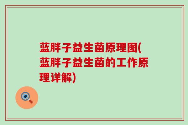 蓝胖子益生菌原理图(蓝胖子益生菌的工作原理详解)