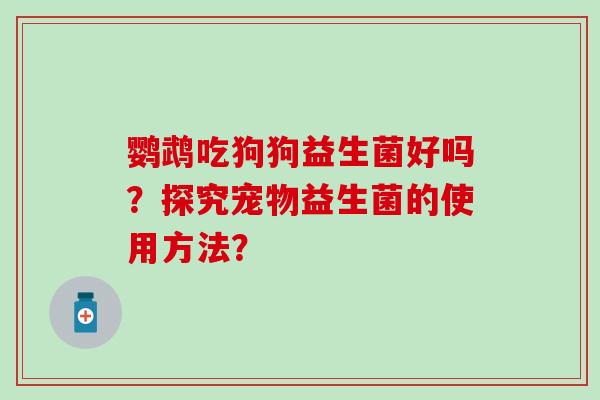 鹦鹉吃狗狗益生菌好吗？探究宠物益生菌的使用方法？