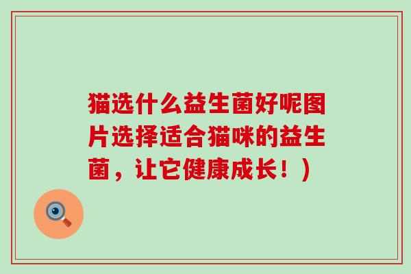 猫选什么益生菌好呢图片选择适合猫咪的益生菌，让它健康成长！)