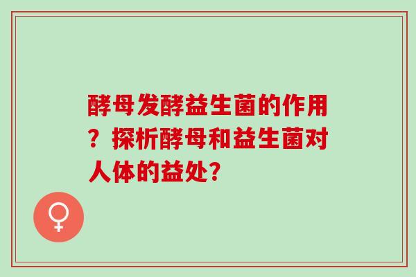 酵母发酵益生菌的作用？探析酵母和益生菌对人体的益处？