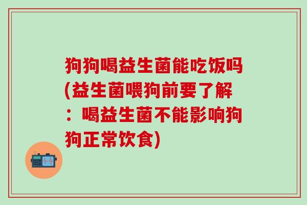 狗狗喝益生菌能吃饭吗(益生菌喂狗前要了解：喝益生菌不能影响狗狗正常饮食)