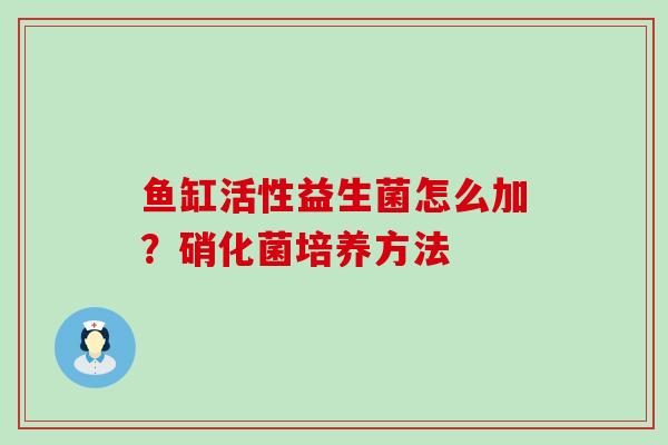 鱼缸活性益生菌怎么加？硝化菌培养方法