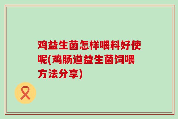 鸡益生菌怎样喂料好使呢(鸡肠道益生菌饲喂方法分享)