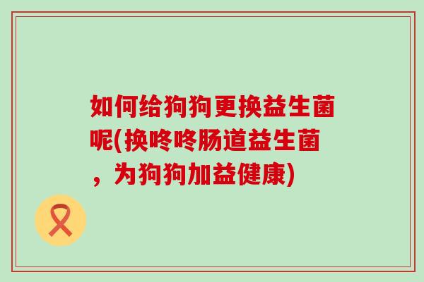 如何给狗狗更换益生菌呢(换咚咚肠道益生菌，为狗狗加益健康)