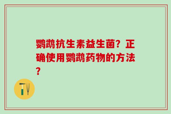 鹦鹉抗生素益生菌？正确使用鹦鹉的方法？
