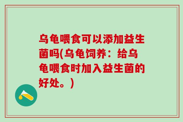 乌龟喂食可以添加益生菌吗(乌龟饲养：给乌龟喂食时加入益生菌的好处。)
