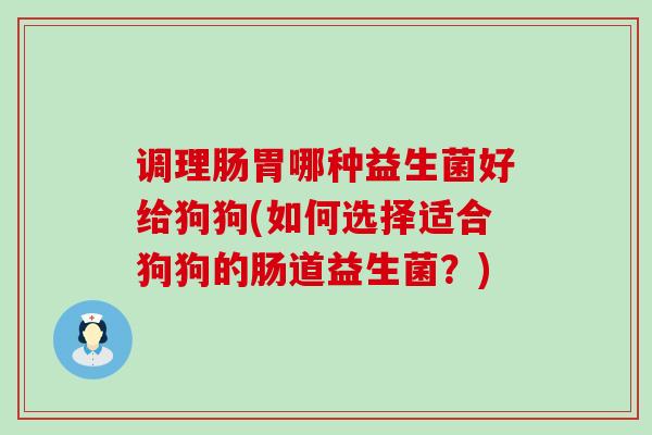 调理肠胃哪种益生菌好给狗狗(如何选择适合狗狗的肠道益生菌？)