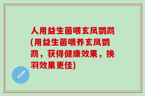 人用益生菌喂玄凤鹦鹉(用益生菌喂养玄凤鹦鹉，获得健康效果，换羽效果更佳)