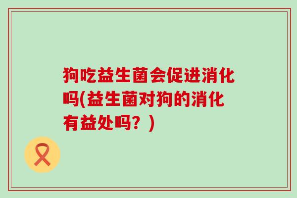 狗吃益生菌会促进消化吗(益生菌对狗的消化有益处吗？)