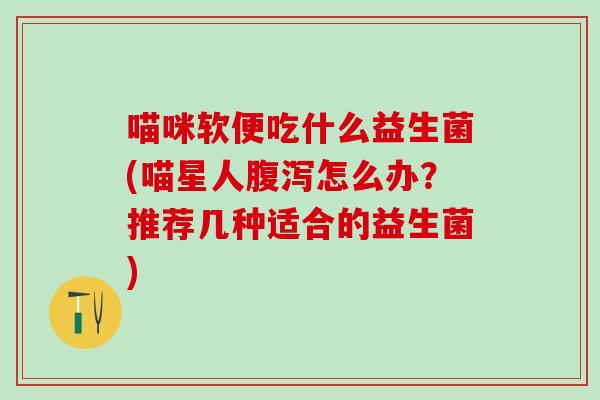 喵咪软便吃什么益生菌(喵星人怎么办？推荐几种适合的益生菌)