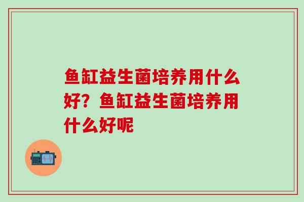 鱼缸益生菌培养用什么好？鱼缸益生菌培养用什么好呢