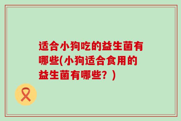 适合小狗吃的益生菌有哪些(小狗适合食用的益生菌有哪些？)