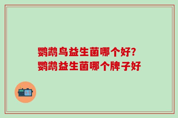 鹦鹉鸟益生菌哪个好？鹦鹉益生菌哪个牌子好