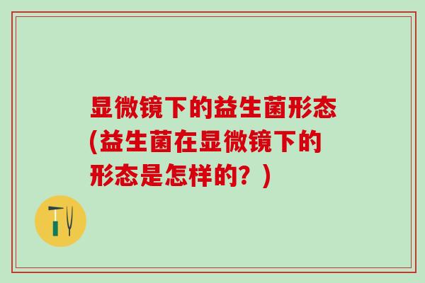 显微镜下的益生菌形态(益生菌在显微镜下的形态是怎样的？)